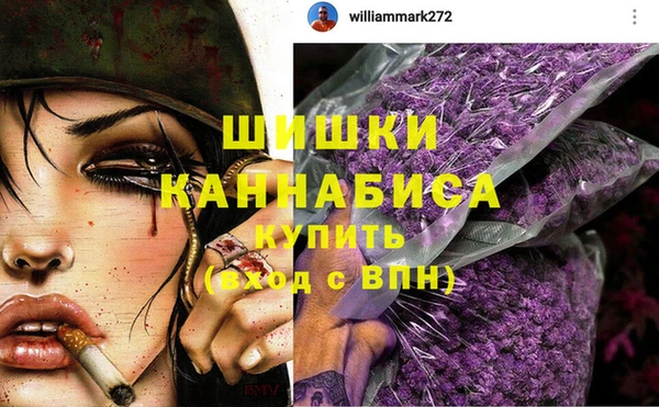 стафф Магадан