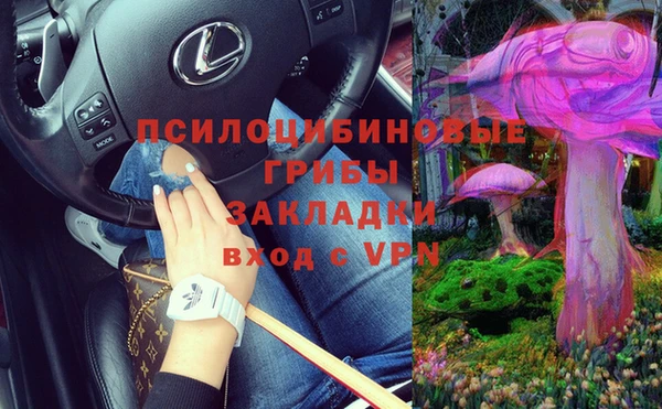 гидра Балахна