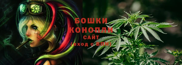 гидра Балахна