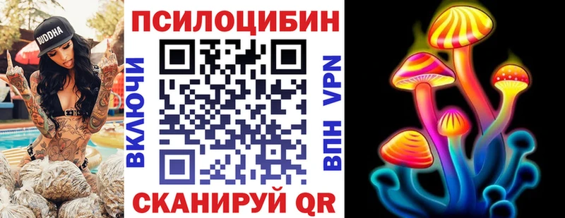 даркнет как зайти  наркотики  Белокуриха  Псилоцибиновые грибы мухоморы 
